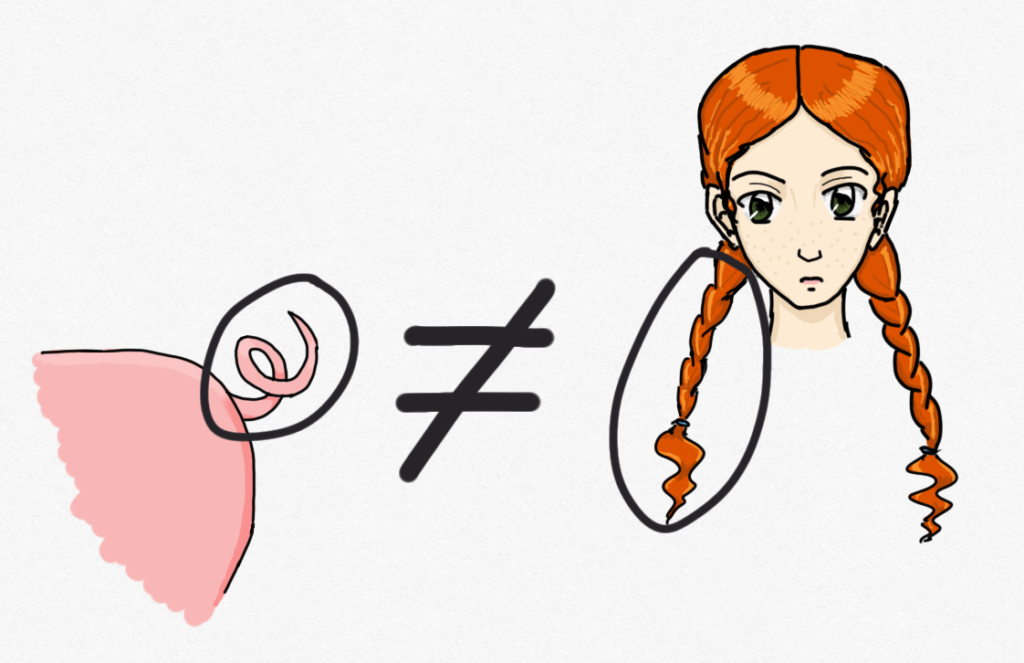 Image showing a pig's tail and girl with pigtails, with a not-equal-to sign between them.
