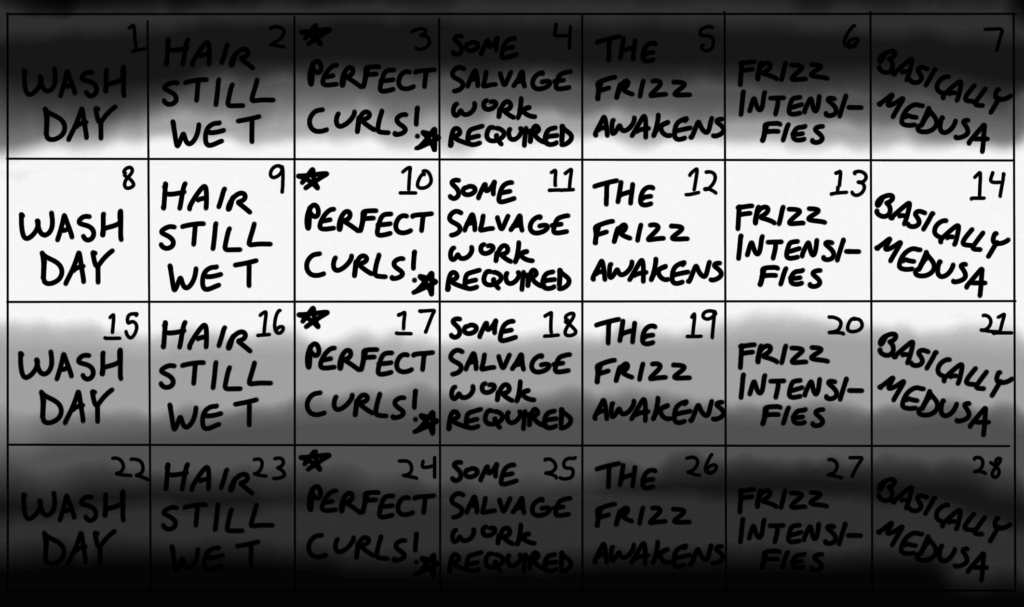Image of a calendar, each week showing the same text every day. Sunday: Wash Day. Monday: Hair Still Wet. Tuesday: Perfect Curls!. Wednesday: Some Salvage Work Required. Thursday: The Frizz Awakens. Friday: Frizz Intensifies. Saturday: Basically Medusa