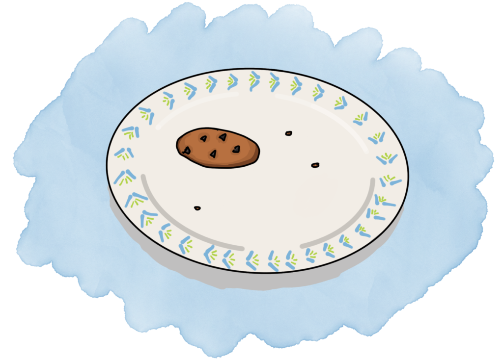 A plate with a single chocolate chip cookie on it.