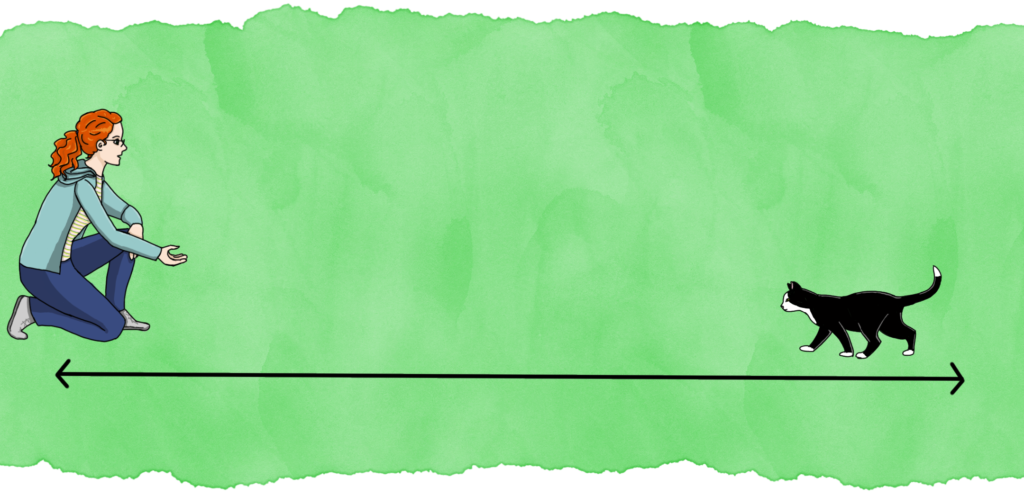 Panel 2: The cat walks towards the woman.