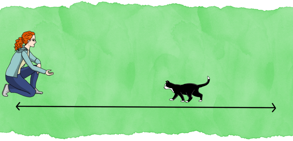 Panel 4: The cat walks towards the woman again.