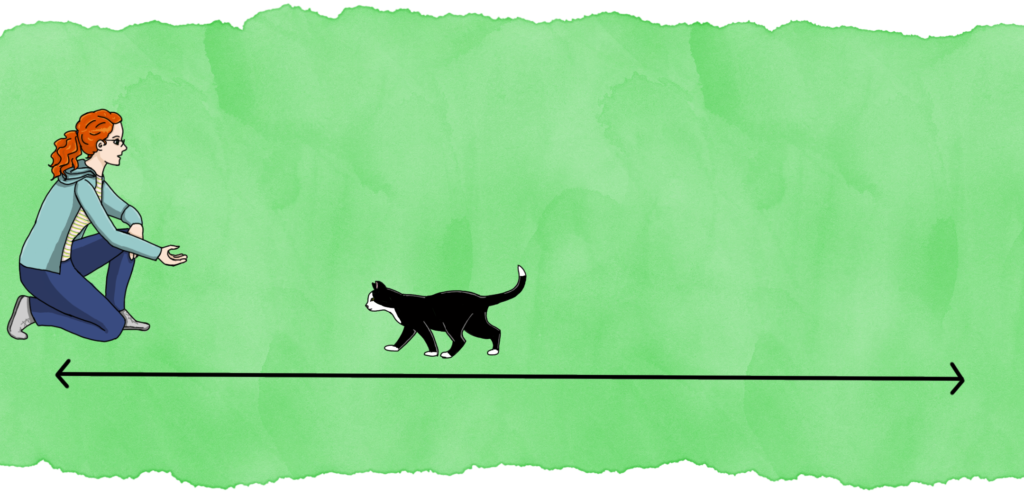 Panel 6: The cat walks towards the woman.
