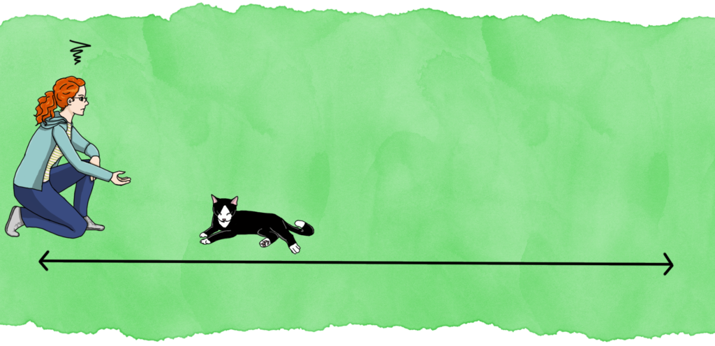 Panel 8: The cat lies down instead of coming over. The woman is frustrated.