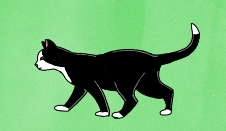 Read more about the article Zeno’s Purradox