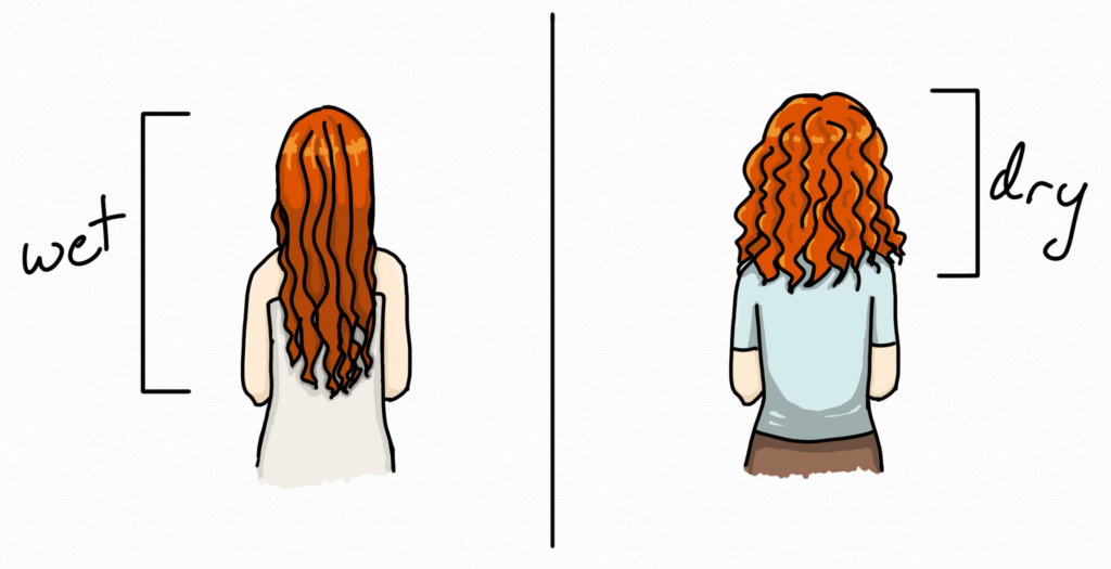 A drawing of two views of the back of the same woman. On the left side, labeled "wet," her wet hair hangs down to her waist. On the right side, labeled "dry,"her dry hair reaches just past her shoulders.